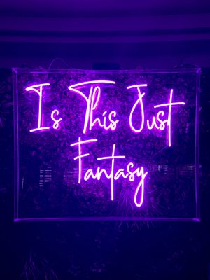 Neon Sign: Is this just fantasy?